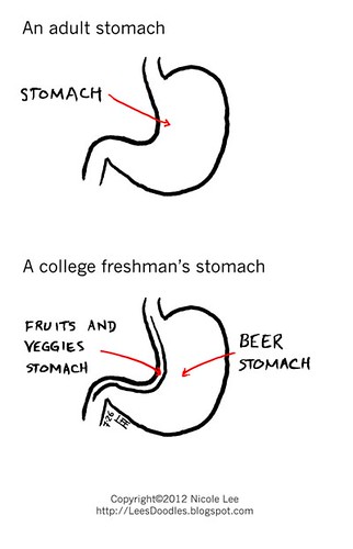 2012_07_26_anatomy_of_college_freshmans_stomach
