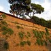 The Gianicolo wall