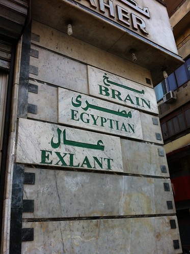 The excellent Egyptian brain?