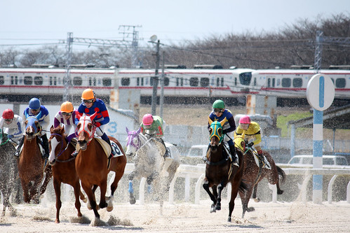 笠松競馬場 / Kasamatsu Racecourse