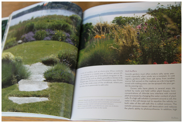 Fantastic Landscaping for Privacy Book