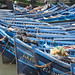Sardine fishing boats