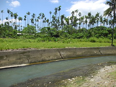 2012年5月工程未開始前，檳榔園旁的河道仍保有一部分野溪。