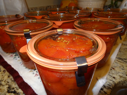 Canning Tomatoes July 2012 (6)
