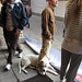 Dogs Of Bologna Italy 32