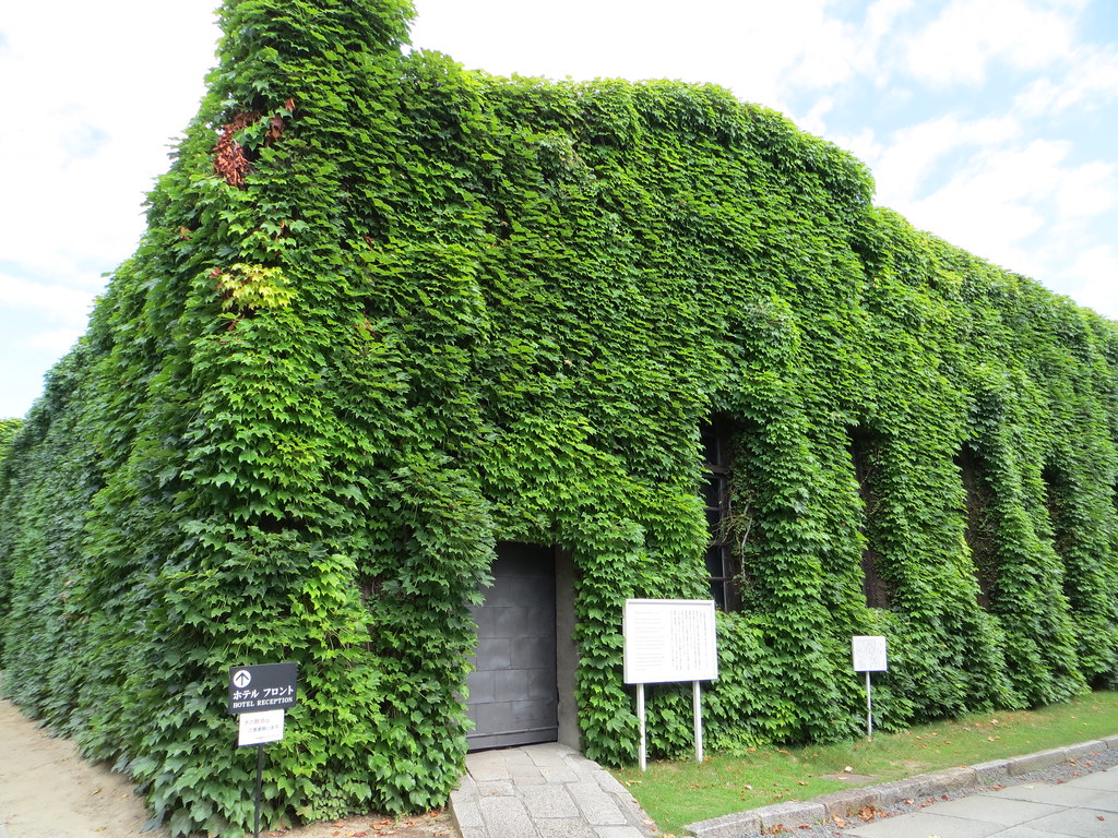 Ivy covers a structure in Kurashiki, Japan. Photo by Joel Abroad.