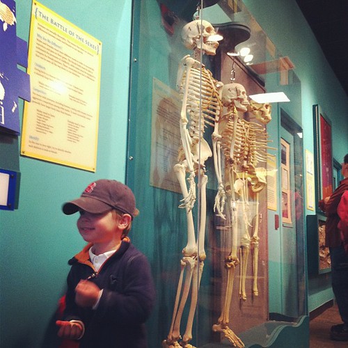 Seeing the skeletons...daddy would be proud