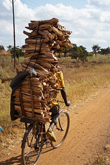 Bunda - Malawi