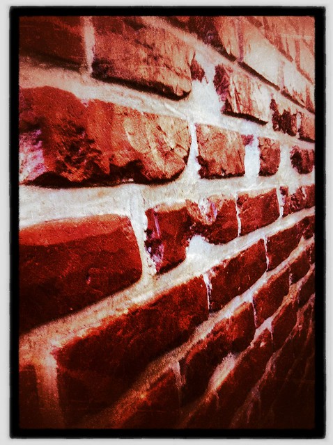 Against a brick wall. Day 175/366.