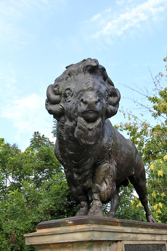 Buffalo statue on the Dumbarton Bridge