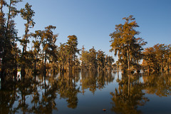 Louisiana Texas 2012