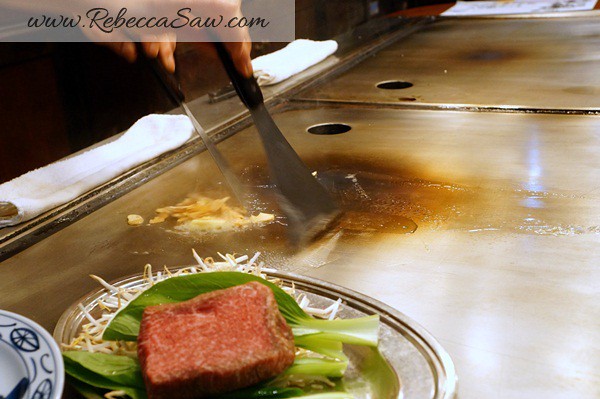 kobe beef lunch at steakland Kobe Osaka (11)