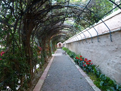 Jardín de Monforte - Valencia - Primavera 2012