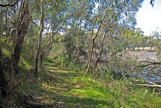 Track along the water's edge N Bartlett