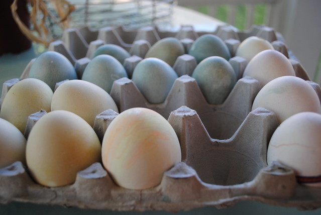 Easter eggs 2012