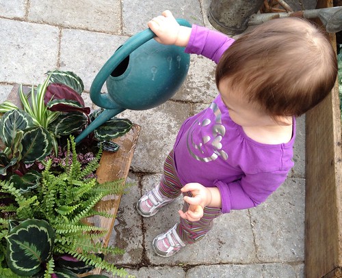 baby bear hugs with a watering can watering plants for earth day
