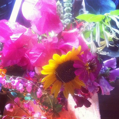 Summer solstice bouquet - foxgloves, honeysuckle, verbena, salvia, coralvine, snapdragons, plumbago, bougainvillea, zinnia, basil, scullcap, sunflower!