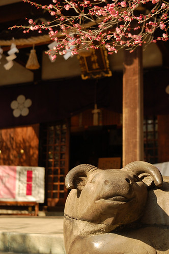 Cow's stone statue and plum blossoms.