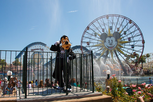 Disneyland July 2012 - Instant Concert! ... Just Add Water