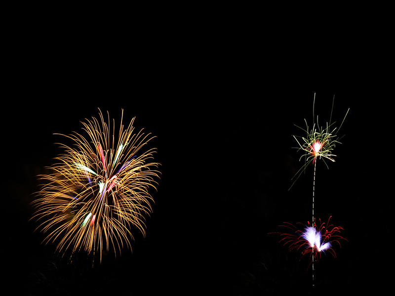 Fourth of July 29 diptych