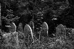 Nunhead Cemetery
