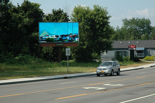 Albany Billboard Art Project 2012 - Julia Cocuzza (16)