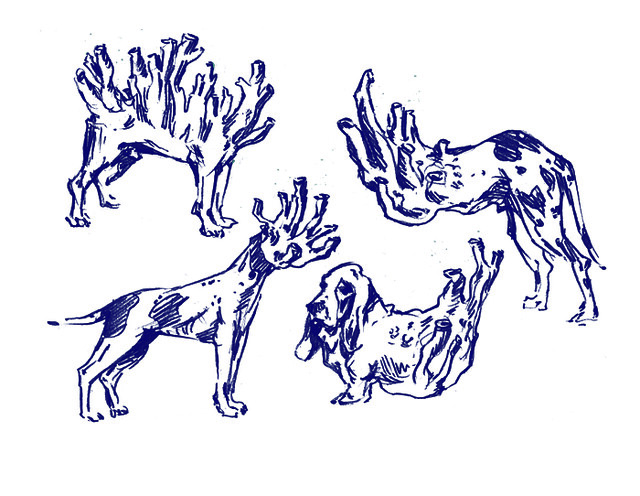 Coral Dogs