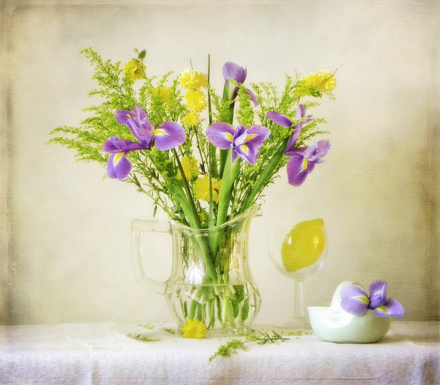 Still life photography by Vesna Armstrong