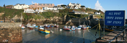Newquay Harbour by Stocker Images