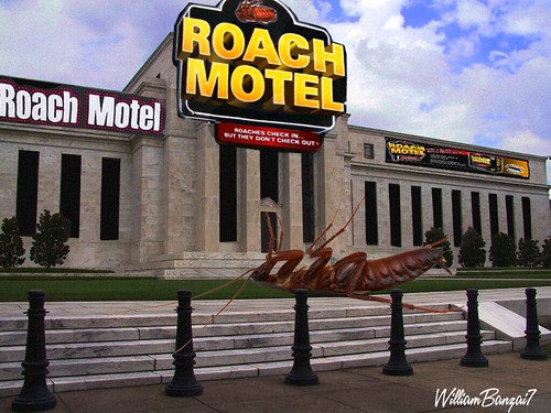 FEDERAL RESERVE ROACH MOTEL by Colonel Flick