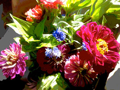 Bouquet in Sunlight (Posterized) by randubnick