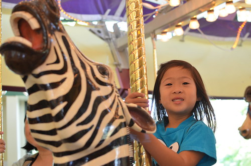 Riding the zebra on the carousel