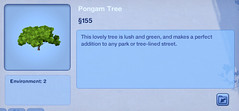 Pongam Tree