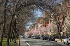 Boston Spring 2014