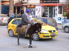Trip to Tunisia, North Africa