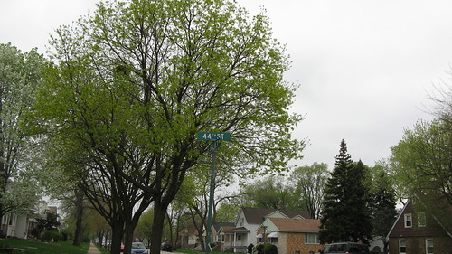 Springtime in Lyons Illinois USA. Saturday, March 24th, 2012. by Eddie from Chicago
