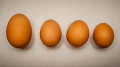 Chicken Eggs - 2012.04.11