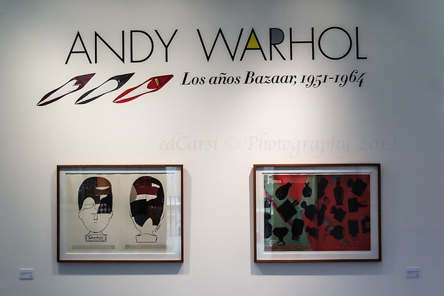 Andy Warhol Flash