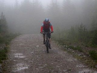 Gerry in the mist