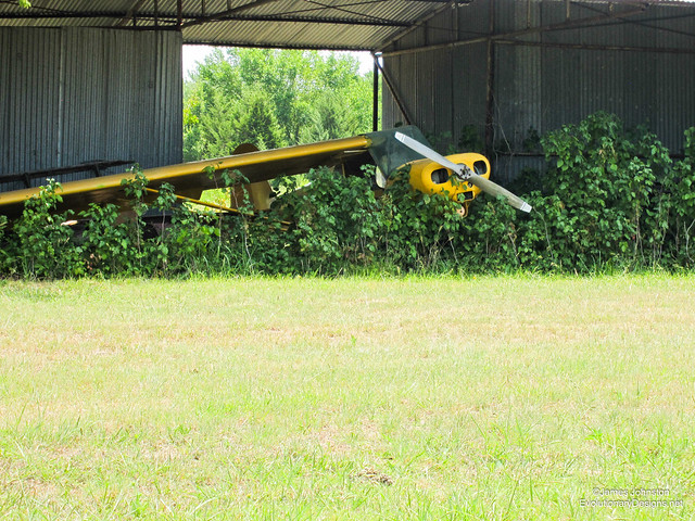Abandoned Air Plane Sitting Abandoned Hangar