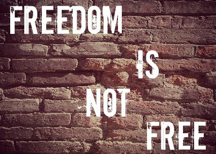 Image result for freedom is not free