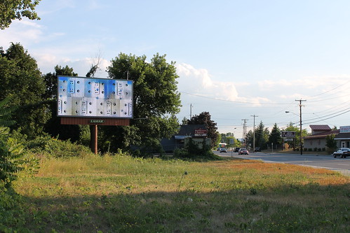 Albany Billboard Art Project 2012 - Julia Cocuzza (20)