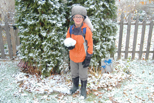 day 3048: first snowfall of the season!