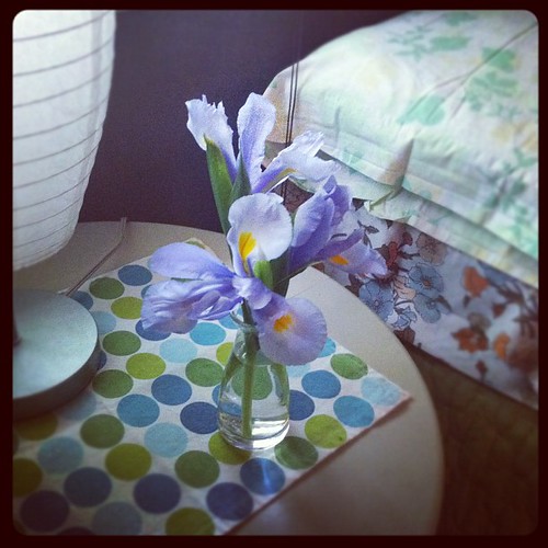 Fresh Irises by my bed. Never leaving @kerrisnead's house.