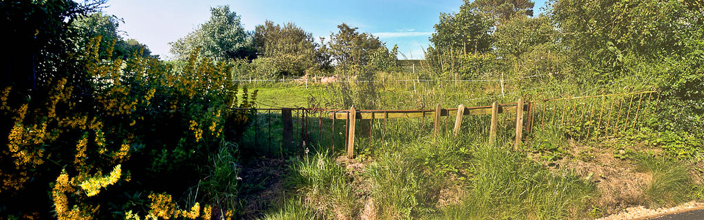 The garden fence