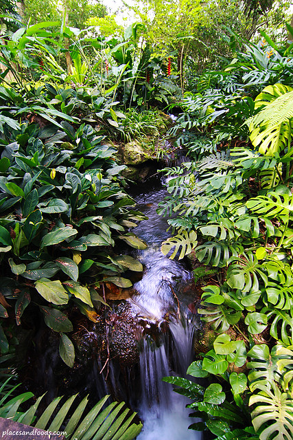 Equatorial hotel penang forest waterfall