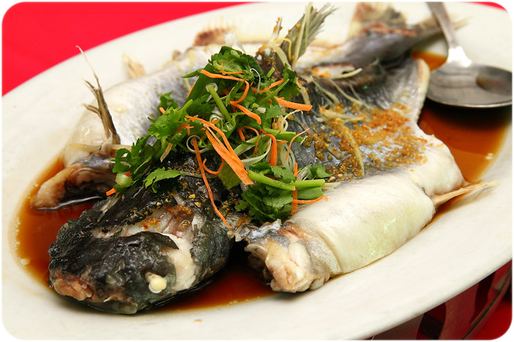 steamed-patin