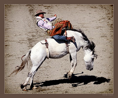 Rancho Mission Viejo Rodeo
