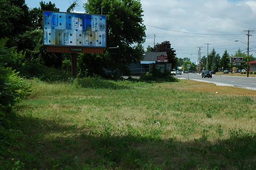 Albany Billboard Art Project 2012 - Julia Cocuzza (4)