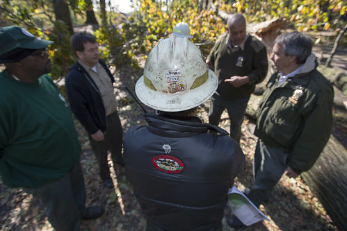 U.S. Forest Service (USFS) Division Supervisor Jerry Hoffman meets with New York City Park officials about clearing Forest Park in Queens, NY of hazardous downed trees to make it safe for residents in the area on Nov. 4, 2012.